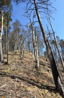 Podšturec, prudký zostup