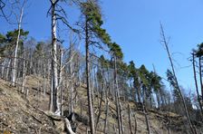 Podšturec, južný svah