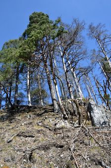 Podšturec, prudký hrebeň