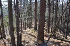 Hrebeň