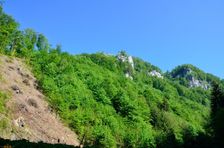 Vápenica, jarné bralá