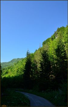 TZT 8436, Bystrická dolina