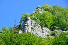 Vápenica, jarné bralo