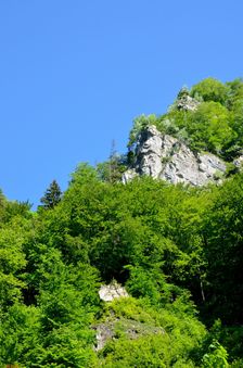 Vápenica, jarné bralo