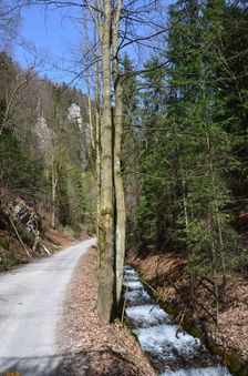 TZT 5435, Harmanecká dolina