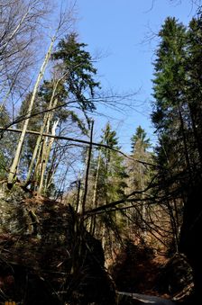 Harmanecká dolina
