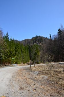 Kráľova studňa 10km