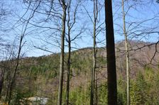 Zalámaná dolina, záver