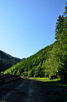 Dedošová dolina, ťažba