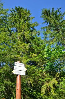 Škap, býv.horáreň 752m, smerovník