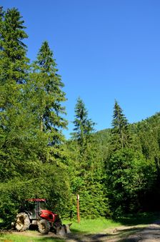 Škap, býv.horáreň 752m, smerovník & traktor