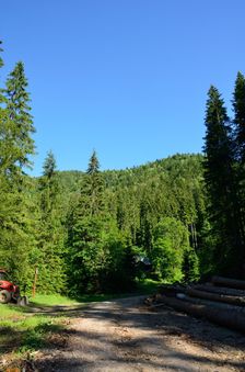 TZT 8648, Dedošová dolina