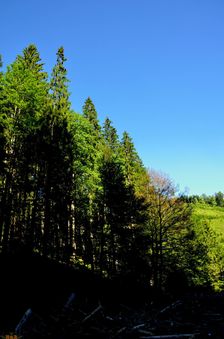 TZT 8648, Dedošová dolina