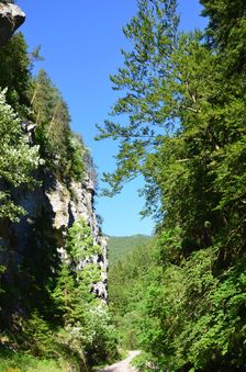 TZT 8648, Dedošová dolina, útes