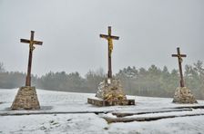 Busov