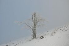 Levocske vrchy - zima