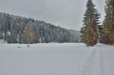 Levocske vrchy - zima
