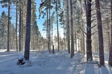 Branisko - zima