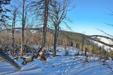 Volovske vrchy- podcelok Zlaty stol