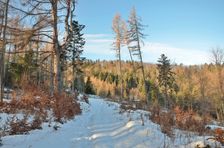 Volovske vrchy- podcelok Hnilecke vrchy