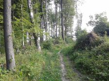 Pod Malkovskou Hôrkou