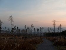 Zapad nad Smokovcom