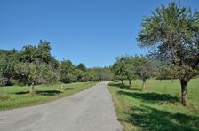 eastren-slovakia.com