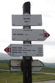 Besník