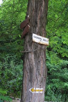 Chorepa,sedlo