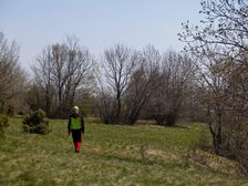 Na planine