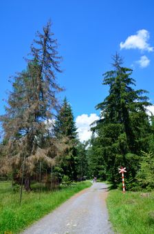 Múzeum liptovskej dediny v Pribyline