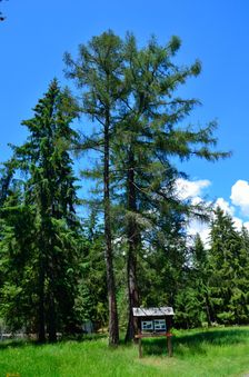 Múzeum liptovskej dediny v Pribyline
