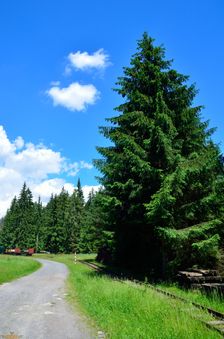 Múzeum liptovskej dediny v Pribyline