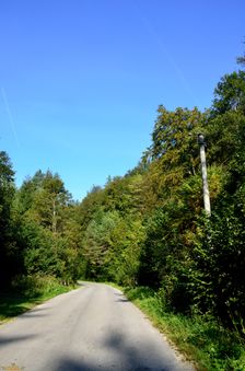 Cesta III. triedy 5177