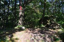 Roháč 720m, vrcholový kameň 1926