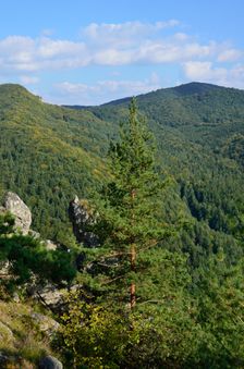 Stráne 837m & Tŕnie 716m