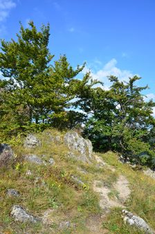 Veľké skaly 628m