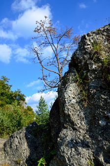 Veľké skaly, bralo