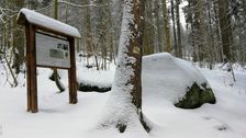 Historický nápis pod Kesslom - informačná tabuľa a skala s nápisom (pod snehom)