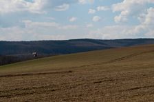 Žarinec
