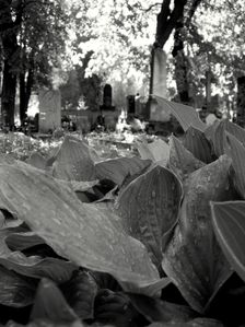 Slovak National Cemetery, Martin, Slovakia