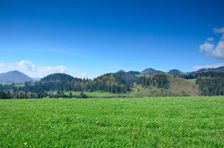 Holica 794m & Kepeňová 651m & Vysoký grúň 849m