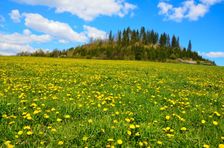 Orličí vŕšok 688m & púpavová lúka