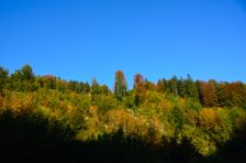 Rúbanisko, omladina