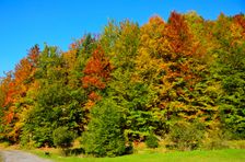 Žarnovická dolina, jesenné odtiene