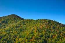 Adamová 931m & Volov grúň (Lopušná) 1031m