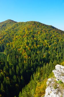 Adamová 931m & Volov grúň (Lopušná) 1031m