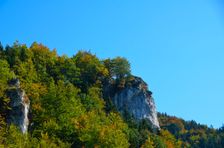 Rožková, Homerov zub