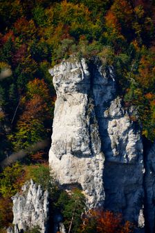 NPR Veľká Skalná, Orlia veža