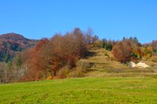Vrchol